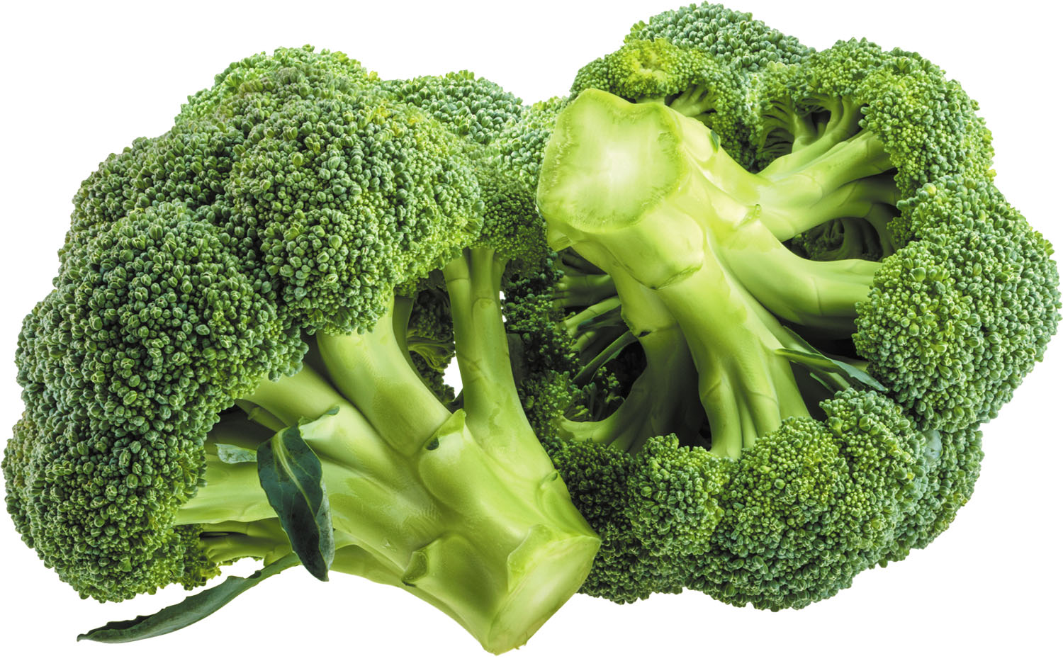 Brocoli