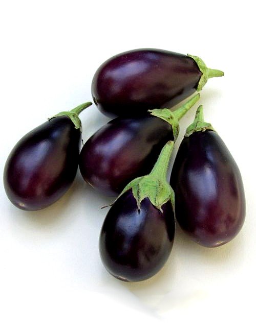 Brinjal