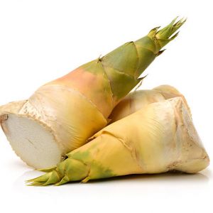 Bamboo Shoot