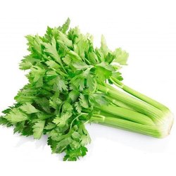 Celery